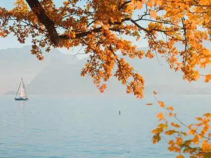 A Quick Reset For Anxious Moments