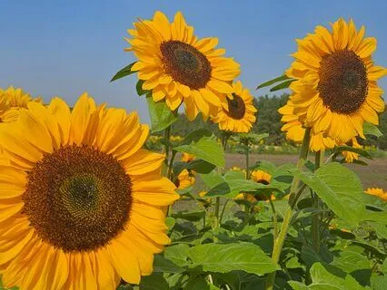 A Quick Summary Of The Live Channeled Wisdom Session Nov. 19