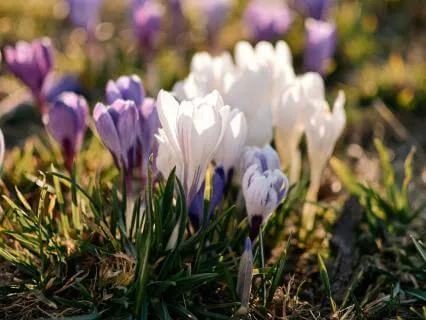 A Quiet Journey Of Peace - Feb 08