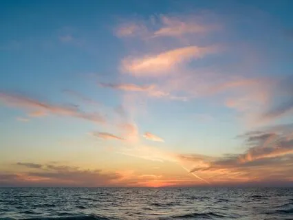 A Quiet Moment Of Contemplation