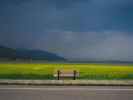 A Quiet Moment Of Simply Being