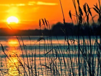 A Quiet Place Within