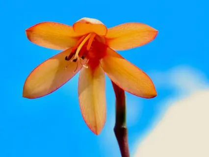 A Quiet Space For Honest Looking