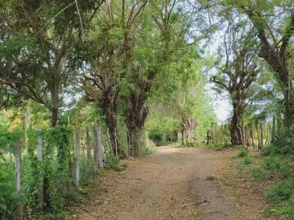A Quiet Walk to the Sea – Visual Meditation | Isla Fuerte