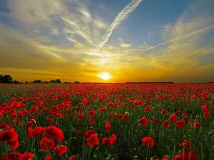 A Radical Approach To Gratitude & Positive Affirmations