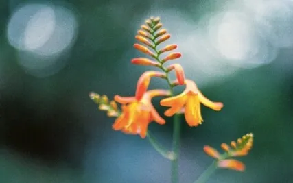 A Rainbow In Somebody Else's Cloud