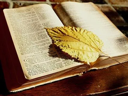 A Reading From Genesis Chaps 1-4 (King James) With Music