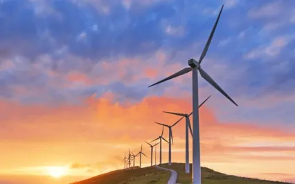 A Real Life Is Full Of Sheer Actions