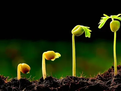 A Reflection Focused On Self-Acceptance 