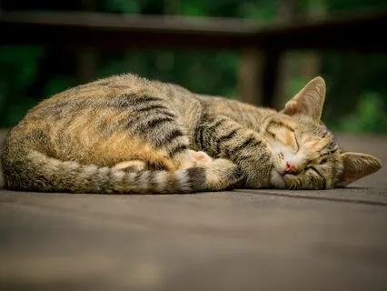 A Reflection For The Health Of The Helper