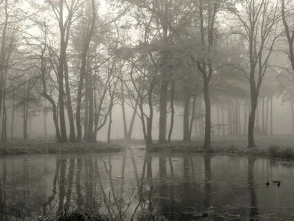 A Reflection On Grief