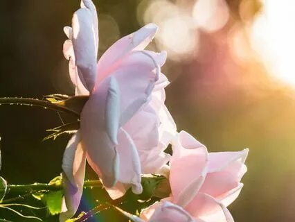 A Reflection On Love & Connection