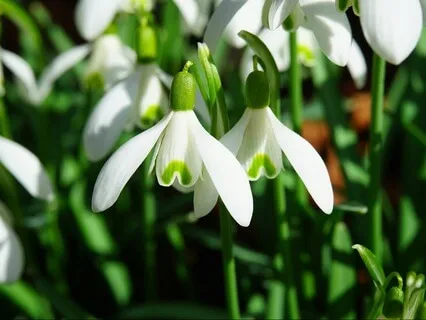 A Reflection On Self-Kindness - January 20