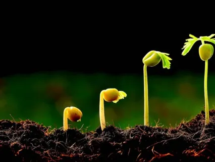 A Reflection On Strength