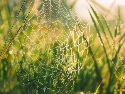 A Regression To Deepen Self-Trust