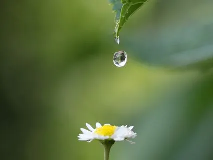 A Relaxing Breath For A Moment Of Pause.