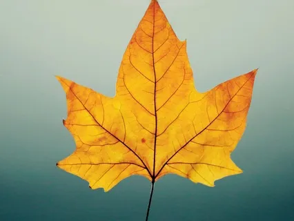 A Reminder To Be Kind - October 21