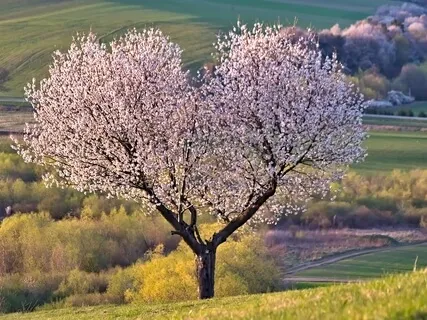 A Reminder To Choose Love