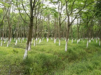 A Replacement Soundscape For Your Workspace