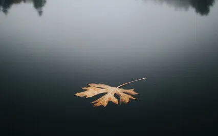 A Restful Drone For Sleep