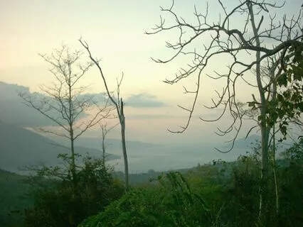 A Restful Moment With Crystal Singing Bowls