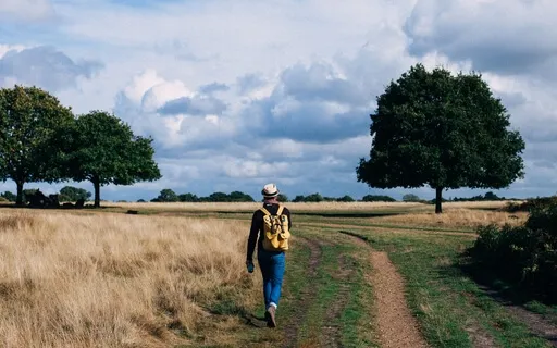 A Revitalizing Journey Of Wellness