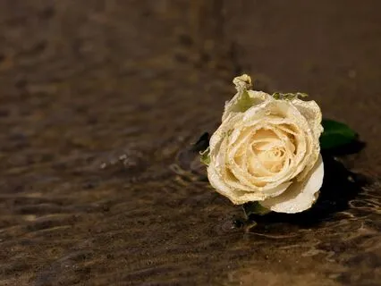 What If You Didn't Mind What Happens?