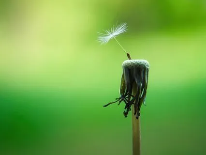 A Revolutionary Reframe Of Your Gratitude Practice