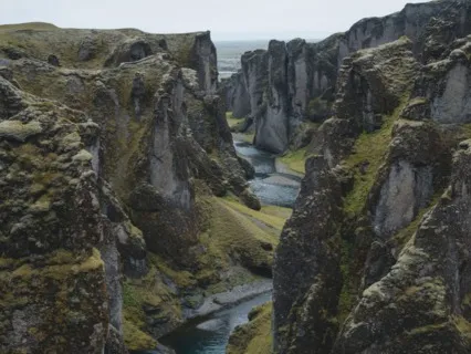 A River Of Consciousness