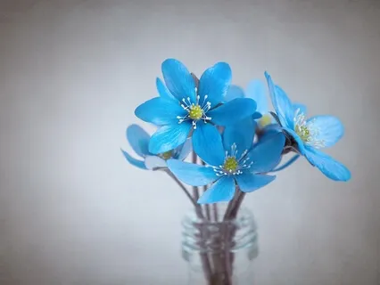 A Room Of My Own: A Priscilla Ingfor Story