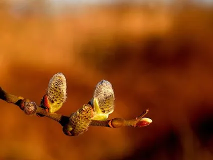 A Room Without Time | Deeply Relaxing Music | Longer Version