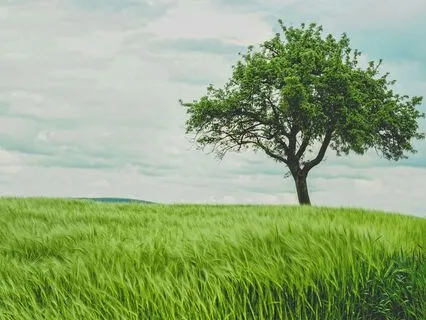 A Root Chakra Meditation To Find Ground In Chaos