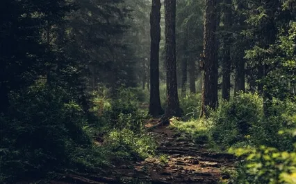 A Rude Awakening - Weekly Energy Boost