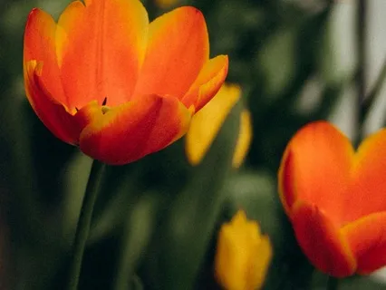 A Sacred Pause Before The Journey- March 13