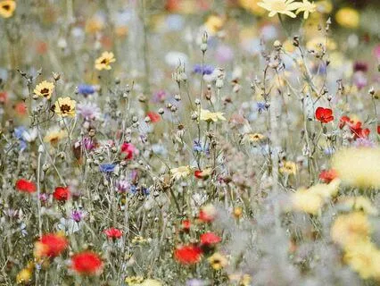 A Safe Place Full Of Energy