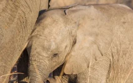 A Safe Space To Dream Guided Meditation