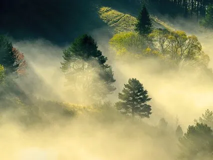 A Safe Space To Relax