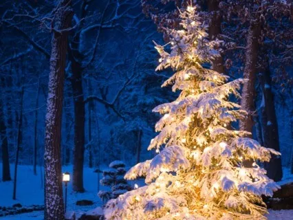 Holiday Reading: A Sailor's Gift