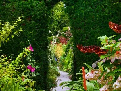 A Sanctuary Of Gratitude