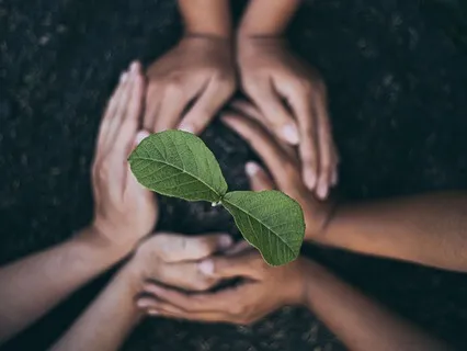 A Seed For The Now And The Future