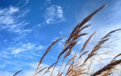 A Seeking Mind Never Feels Secure Or Peaceful Really