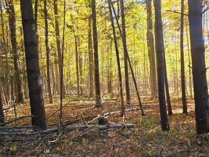 A Self-Care Meditation Designed With You In Mind