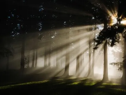 A Self-Forgiveness Meditation