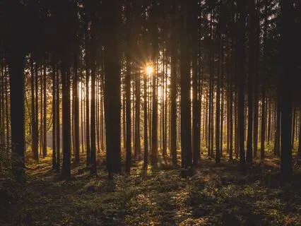 A Self Forgiveness Meditation