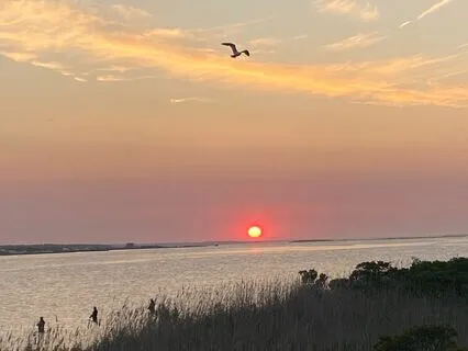 A Self-Compassion Pause