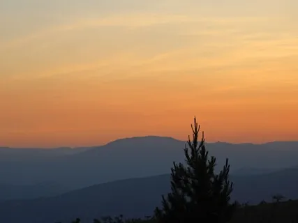 A Sense Of Practice: Loving Kindness In The Face Of Reopening