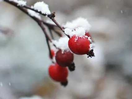 A Shared Sense Of Well-Being - Jan 05