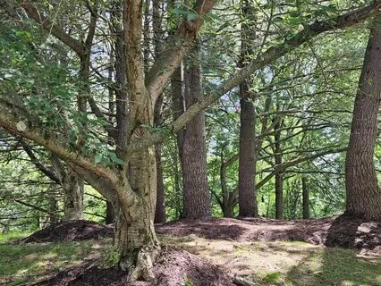 A Shift For Releasing And Receiving