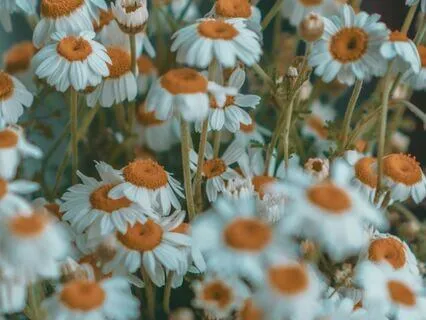 A Shift From Loneliness To Connection