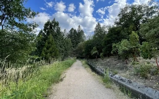 A Shift To Gratitude (No Music)